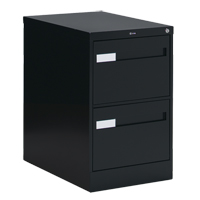 Vertical Filing Cabinet with Recessed Drawer Handles, 2 Drawers, 18.15" W x 26.56" D x 29" H, Black OTE611 | Nia-Chem Ltd.