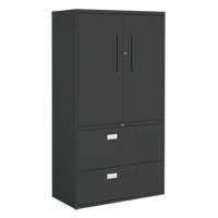 Multi-Stor Cabinet, Steel, 3 Shelves, 65-1/4" H x 36" W x 18" D, Black OTE783 | Nia-Chem Ltd.