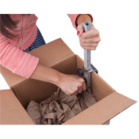 Carton Sizer Nia-Chem Ltd.