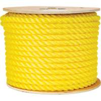 Corde jaune tress&eacute;e 5/8", Polypropyl&egrave;ne, 200' Nia-Chem Ltd.