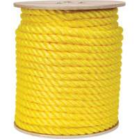 Corde jaune tress&eacute;e, Polypropyl&egrave;ne, 300' Nia-Chem Ltd.