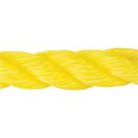 Corde jaune tress&eacute;e, Polypropyl&egrave;ne, 300' Nia-Chem Ltd.