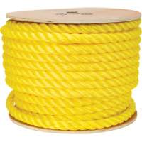 Corde jaune tress&eacute;e, Polypropyl&egrave;ne, 144' Nia-Chem Ltd.