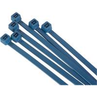 Attache-c&acirc;bles d&eacute;tectables par d&eacute;tecteur de m&eacute;taux, 6" lo, R&eacute;sistance &agrave; la traction 120 lb Nia-Chem Ltd.