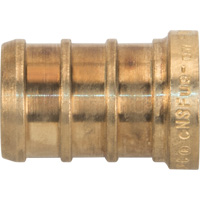 Lead-Free Pipe Plug, Pipe, 1/2" Dia., Brass Nia-Chem Ltd.