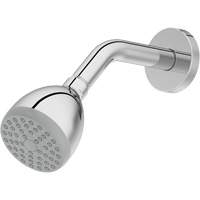 Pomme de douche monofonctionnelle Nia-Chem Ltd.