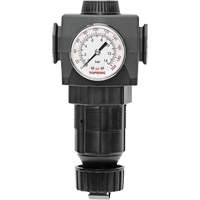 Regulator with Gauge Modulair 400, 3/4" NPTF, 125 PSI Max. PSI, In Line/Modular Nia-Chem Ltd.