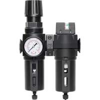 Filter/Regulator & Coalescing Filter Modulair 300 with Standard Bowl & Manual Drain, 3/8" NPTF, 150 PSI, 5.12 fl. oz. Capacity Nia-Chem Ltd.