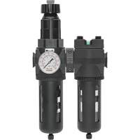 Filter/Regulator & Coalescing Filter Modulair 400 with Standard Bowl & Manual Drain, 3/4" NPTF, 150 PSI, 9.13 fl. oz. Capacity Nia-Chem Ltd.