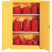 Insulated Flammable Liquid Safety Cabinets, 30 gal., 2 Door, 44" W x 45" H x 19" D SA087 | Nia-Chem Ltd.
