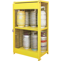 Gas Cylinder Cabinets, 12 Cylinder Capacity, 44" W x 30" D x 74" H, Yellow SAF847 | Nia-Chem Ltd.