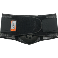 Back Brace and Supports