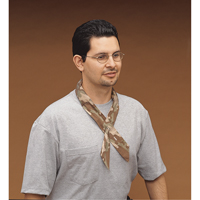 Bandeaux de refroidissement Cool Offs, Multicolore Nia-Chem Ltd.