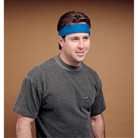 Serviette refroidissante standard, Bleu Nia-Chem Ltd.