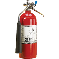 Aluminum Cylinder Carbon Dioxide (CO2) Fire Extinguishers, BC, 5 lbs. Capacity SAJ098 | Nia-Chem Ltd.