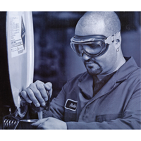 Uvex&reg; Flex Seal Safety Goggles, 3.0 Lens, Anti-Fog, Indirect Vent Nia-Chem Ltd.