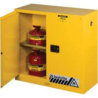 Sure-Grip&reg; Ex Flammable Storage Cabinets, 30 gal., 2 Door, 43" W x 44" H x 18" D Nia-Chem Ltd.