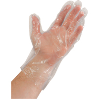 Disposable Gloves, Large, Polyethylene, 0.02-mil, Powder-Free, Clear Nia-Chem Ltd.