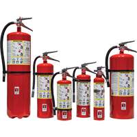 Fire Extinguisher, ABC, 30 lbs. Capacity SED110 | Nia-Chem Ltd.