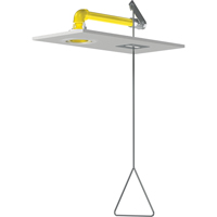 Douches d'urgence &agrave; alimentation horizontale, Montage au plafond Nia-Chem Ltd.