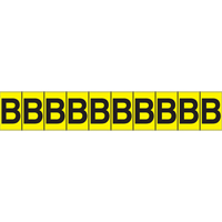 Rep&egrave;res adh&eacute;sifs &agrave; lettres individuelles, B, 1" h, Noir sur jaune Nia-Chem Ltd.