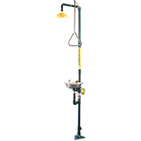 Safe-T-Zone&reg; Combination Shower & Eye/Face Wash Nia-Chem Ltd.