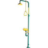 Safe-T-Zone&reg; Combination Shower & Eye/Face Wash Nia-Chem Ltd.
