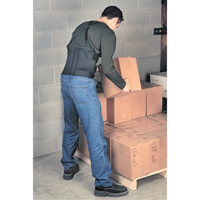 Appuis et supports pour dos  