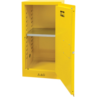 Armoire pour produits inflammables, 16 gal., 1 Porte(s), 23" La x 44" h x 18" p Nia-Chem Ltd.
