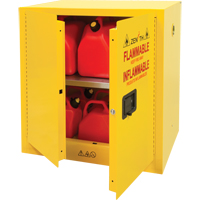 Armoire pour produits inflammables, 22 gal., 2 Porte(s), 35" La x 35" h x 22" p Nia-Chem Ltd.