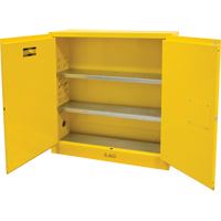 Armoire pour produits inflammables, 24 gal., 2 Porte(s), 43" La x 44" h x 12" p Nia-Chem Ltd.