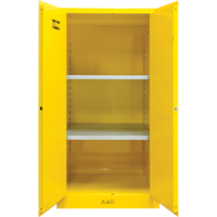 Armoire pour produits inflammables, 60 gal., 2 Porte(s), 34" La x 65" h x 34" p Nia-Chem Ltd.