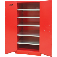 Paint/Ink Cabinet, 96 gal., 5 Shelves Nia-Chem Ltd.