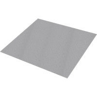 Plaque antid&eacute;rapante Safestep, 47" la x 96" lo, Gris Nia-Chem Ltd.