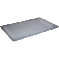 Tapis antimicrobiens WD Foodmaster, Lisse, 3' x 4' x 9/16", Gris, Mousse de vinyle Nia-Chem Ltd.