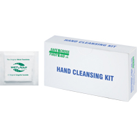 Hand Cleansing Moist Wipes, Towelette Nia-Chem Ltd.