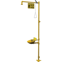 Combinaison de douche d'urgence & douche oculaire Halo Nia-Chem Ltd.