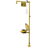 Combinaison de douche d'urgence & douche oculaire Halo Nia-Chem Ltd.