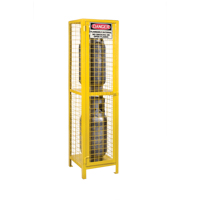 Gas Cylinder Cabinets, 2 Cylinder Capacity, 17" W x 17" D x 69" H, Yellow Nia-Chem Ltd.