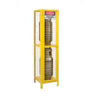 Gas Cylinder Cabinets, 2 Cylinder Capacity, 17" W x 17" D x 69" H, Yellow Nia-Chem Ltd.
