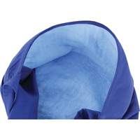 Foulards de refroidissement en triangle Chill-Its 6710CT, Bleu Nia-Chem Ltd.