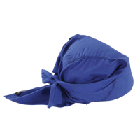 Foulards de refroidissement en triangle Chill-Its 6710, Bleu Nia-Chem Ltd.