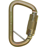 Rollgliss™ Technical Rescue Offset D Fall Arrest Carabiner, Steel, 3600 lbs Capacity SEH168 | Nia-Chem Ltd.