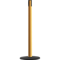 Advance TensaBarrier&reg; - Receiver Post, 36" High, Yellow Nia-Chem Ltd.