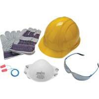 Worker's PPE Starter Kit SEH890 | Nia-Chem Ltd.