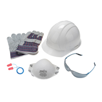 Worker's PPE Starter Kit SEH891 | Nia-Chem Ltd.