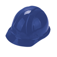 Worker's PPE Starter Kit SEH892 | Nia-Chem Ltd.