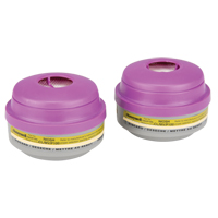 North<sup>®</sup> N Series Respirator Cartridges, Gas/Vapour Cartridge, Methylamine SEI606 | Nia-Chem Ltd.