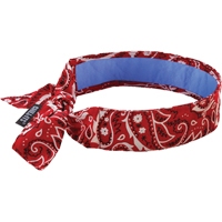 Chill-Its&reg; 6700CT Cooling Bandanas, Red Nia-Chem Ltd.