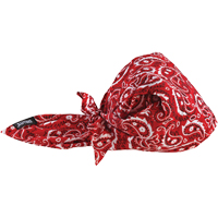 Bandeaux en triangle 6710CT de refroidissement en tissu de serviette Chill-Its, Rouge Nia-Chem Ltd.